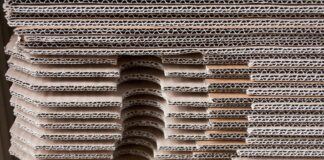 Дачники розповіли про зимовий захист рослин за допомогою картону