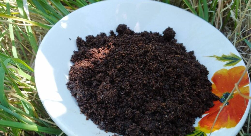 Ці 5 “народних” порад убили мій ґрунт за 2 роки – тепер нічого не росте: розповідаю, що не варто робити 