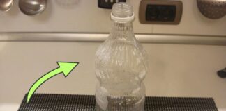 Як створити з пластикової пляшки органайзер для канцелярії