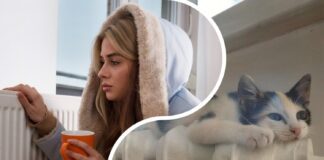 Як підтримувати вдома тепло без опалення довго