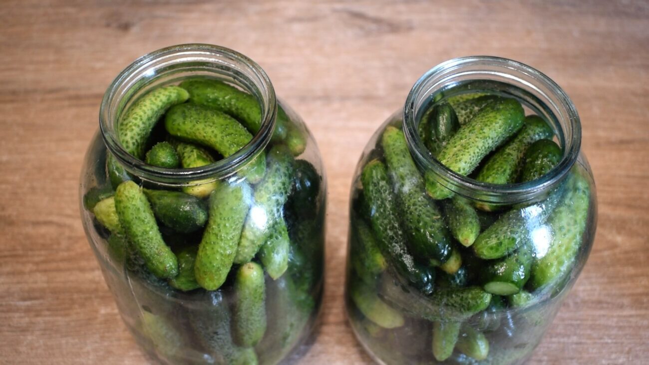 Городники розповіли, які існують найкращі сорти огірків для консервації – гібриди для засолювання