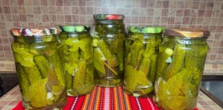 Найкращі сорти огірків для консервації