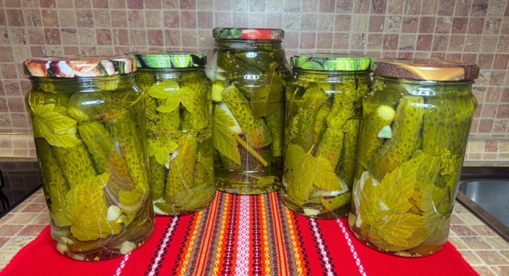 Солю на зиму тільки ці сорти огірків для консервації: 2 гібриди, які не тріщать у банках і не розкисають 