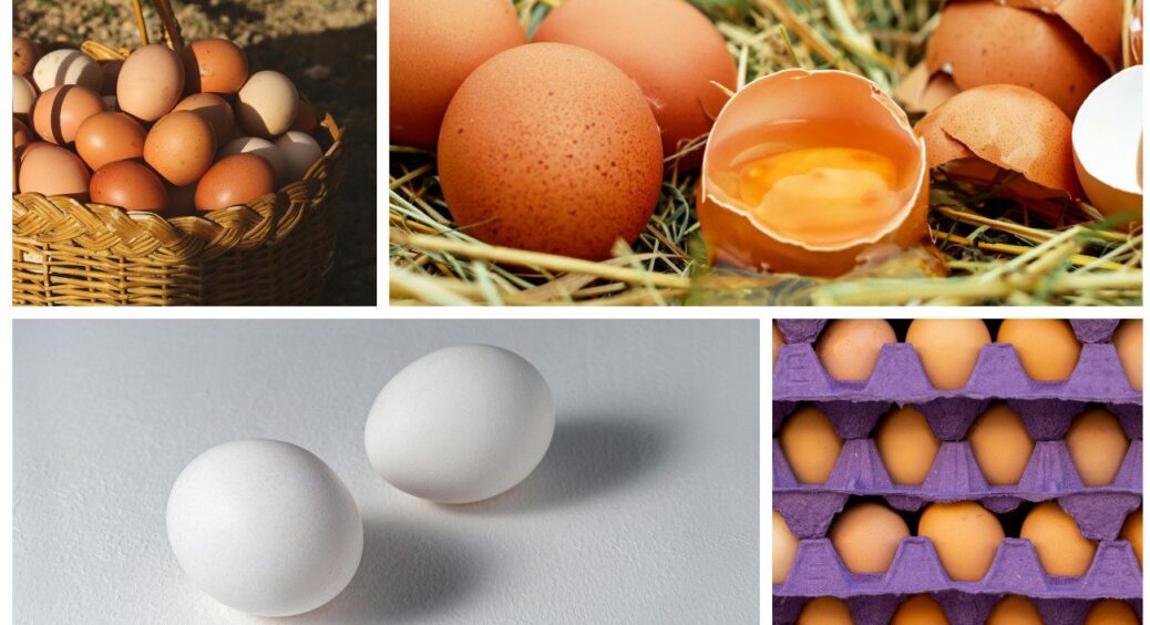 Тітки на ринку терпіти не можуть цей трюк: роблю з яйцями 1 річ, аби зрозуміти, чи свіжі вони 