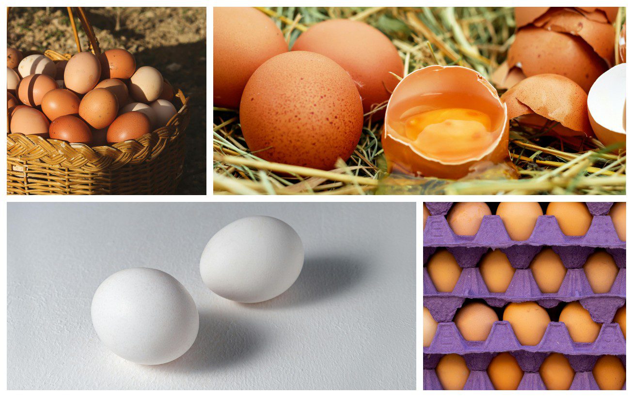 Як обрати свіжі яйця в магазині