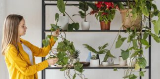 Квітникарі поділилися простим рецептом універсального підживлення для квітів