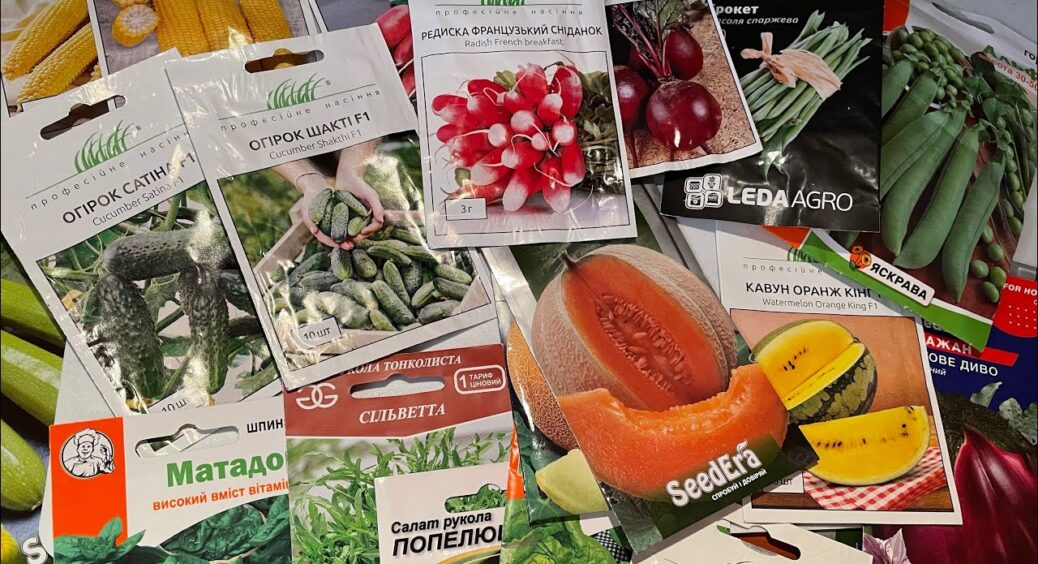 Кум-агроном підказав, як не спускати гроші на зайве насіння: точний підрахунок для городу й теплиці: 3 кроки 