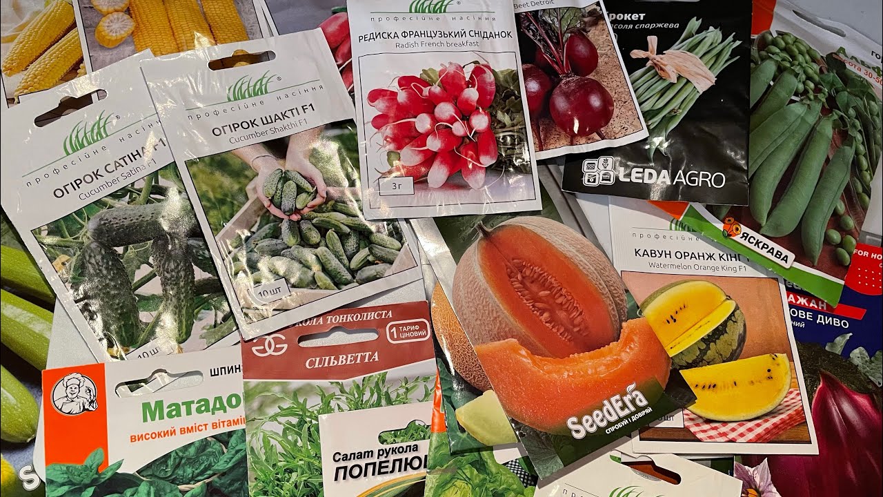 Агрономи поділилися ефективною методикою розрахунку насіння для ділянки