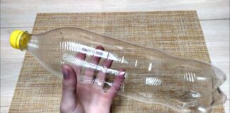 Господині пояснили, як використовувати пластикову тару у побуті 