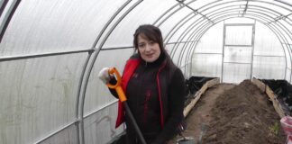 Досвідчені садівники розповіли, як правильно зробити теплі грядки у теплиці