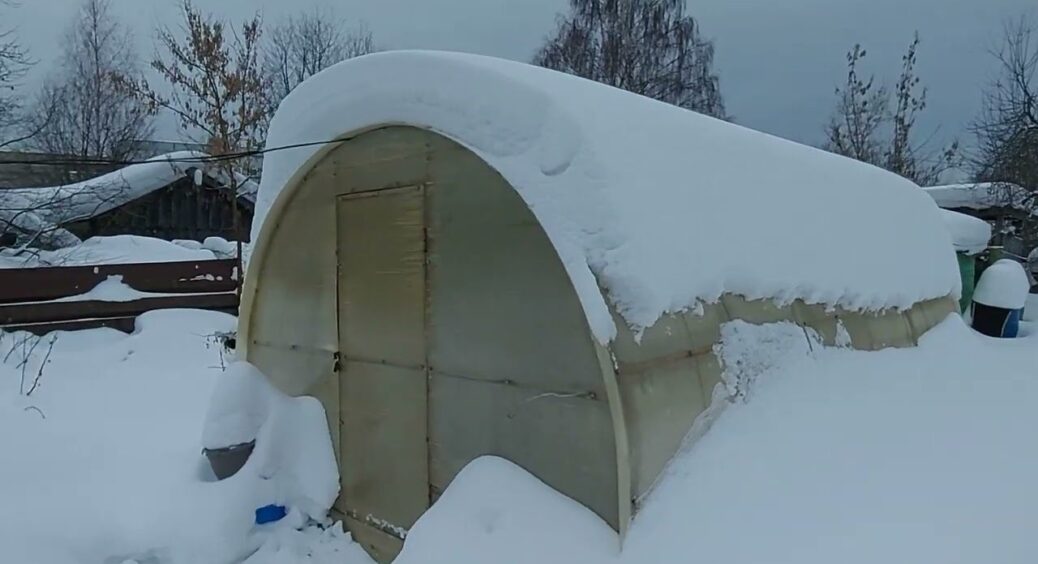 Зав’язь не обсипається навіть у холод: обприскала томати 1 препаратом – урожай збільшився на 40% 
