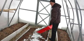 Садівники розповіли, чому варто залишити сніг у теплиці взимку