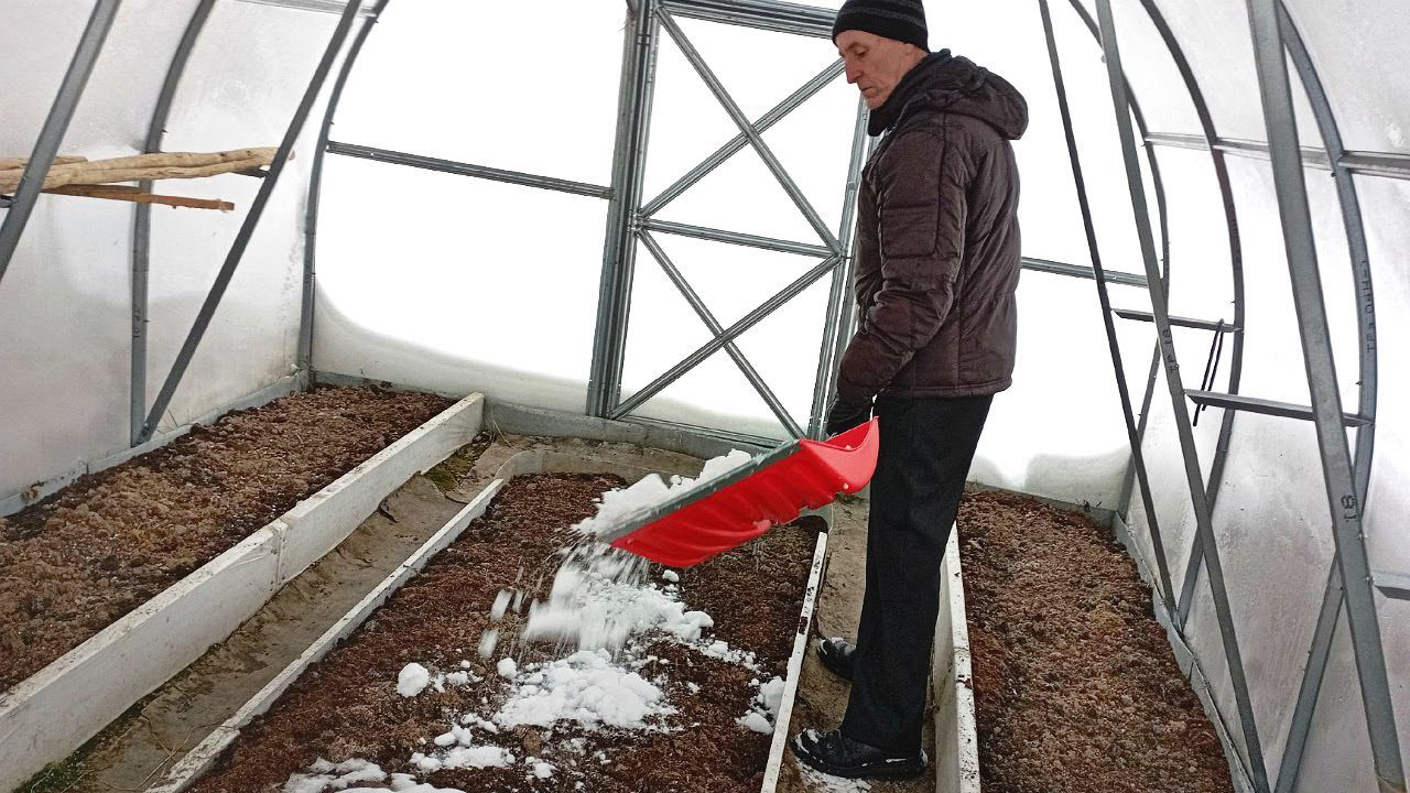 Садівники розповіли, як захистити ґрунт у теплиці взимку за допомогою снігу