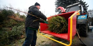 Досвідчені господині розповіли, куди можна подіти ялинку після завершення свят