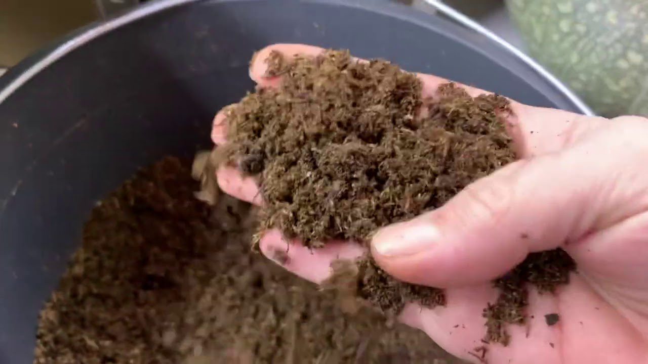 Агрономи розповіли, який ґрунт не можна використовувати для розсади