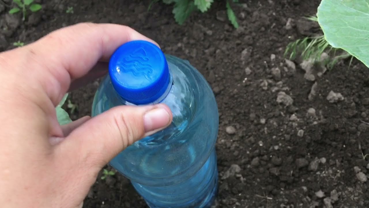 Городники розповіли, навіщо дачники всю зиму збирають пластикові пляшки