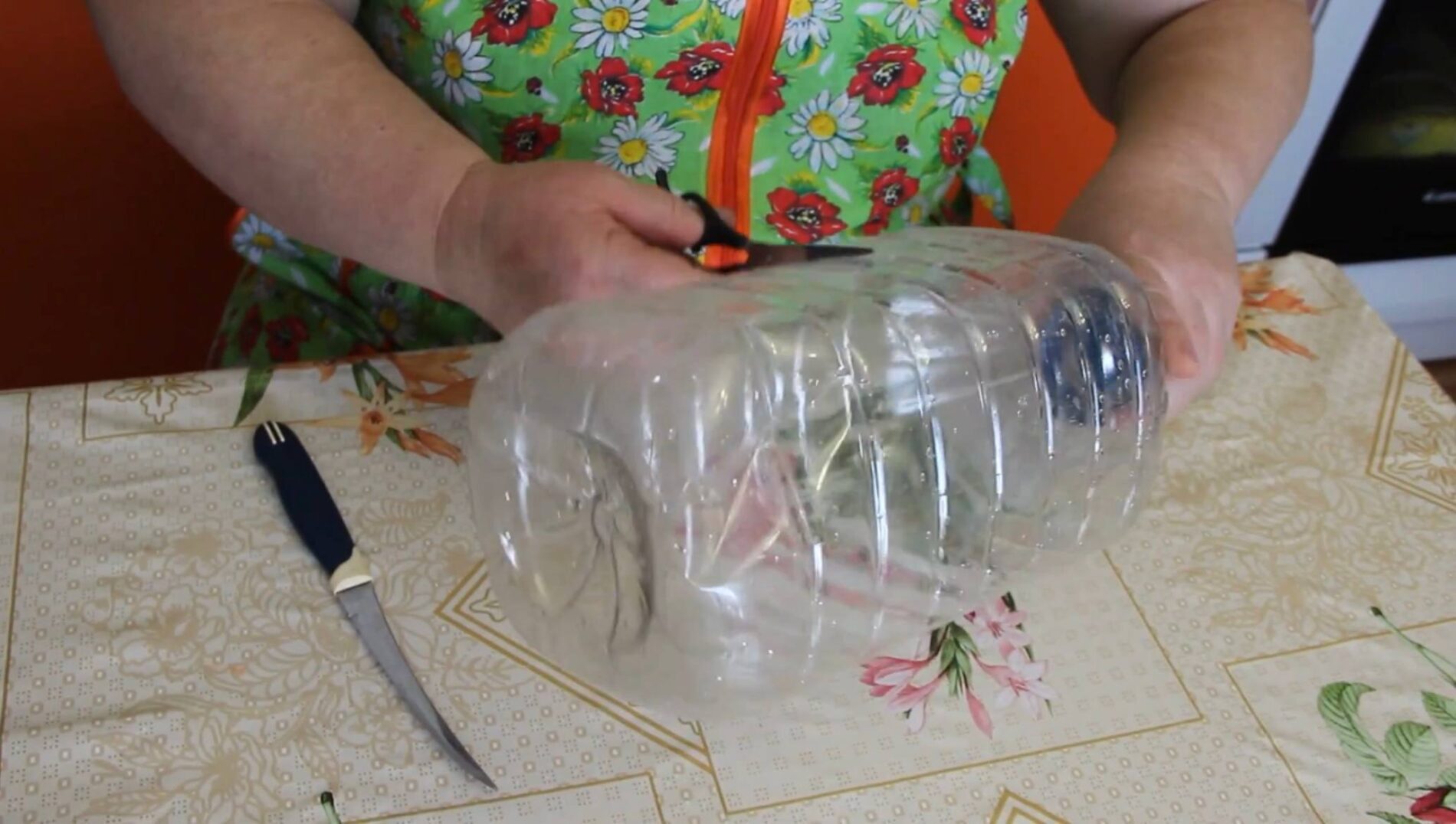 Садівники розповіли, як зробити парник зі звичайної пластикової пляшки