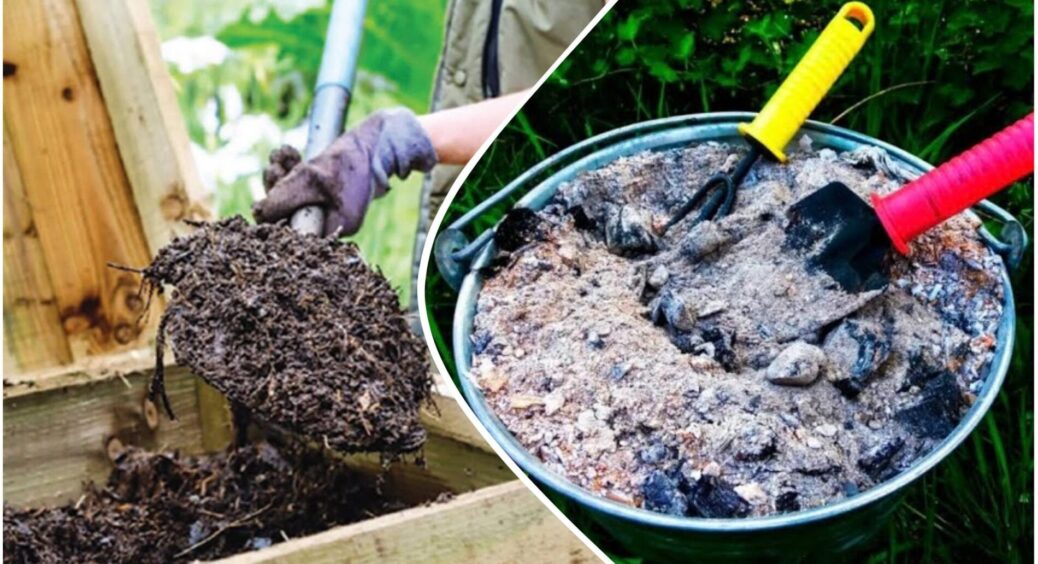 Підслухала у черзі пункту обігріву, навіщо додавати деревну золу в компост: результат на 10 з 10 