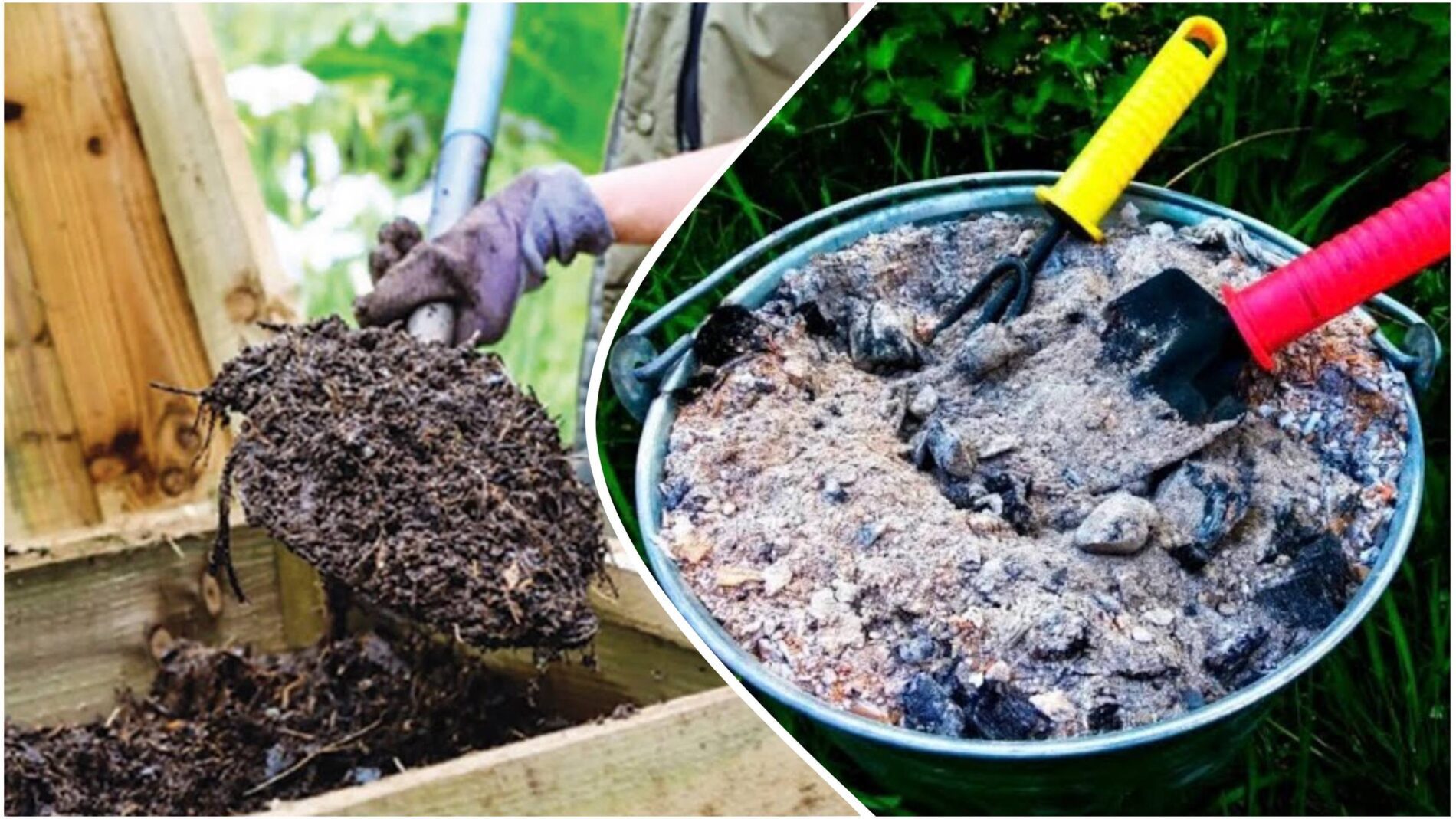 Городники розповіли, навіщо потрібно додавати деревну золу в компост