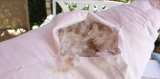 Експерти розповіли, що знаходиться в наповнювачі старих подушок 