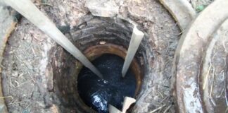 Дачники розповіли, як ефективно боротися з відходами вигрібної ями