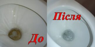 Господині розповіли, як швидко та дуже дешево очистити унітаз