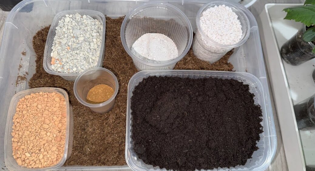 Ідеальний ґрунт для розсади: покрокова інструкція від кума-садівника – врожай буде перти, як на дріжджах 