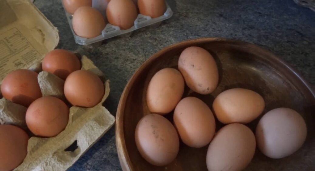 Змащую кожне яйце в лотку 1 тонким шаром бджолиного воску: мій спосіб зберігати їх без холодильника 