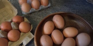 Господині розповіли, як легко продовжити свіжість яєць
