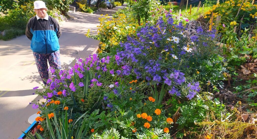 Бузок “у прольоті”: цей 1 багаторічний кущ прикрашає сад краще, а догляду потребує у 3 рази менше 