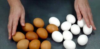 Кухарі розповіли, як без смаження і варіння приготувати яйця, щоб вийшло смачно