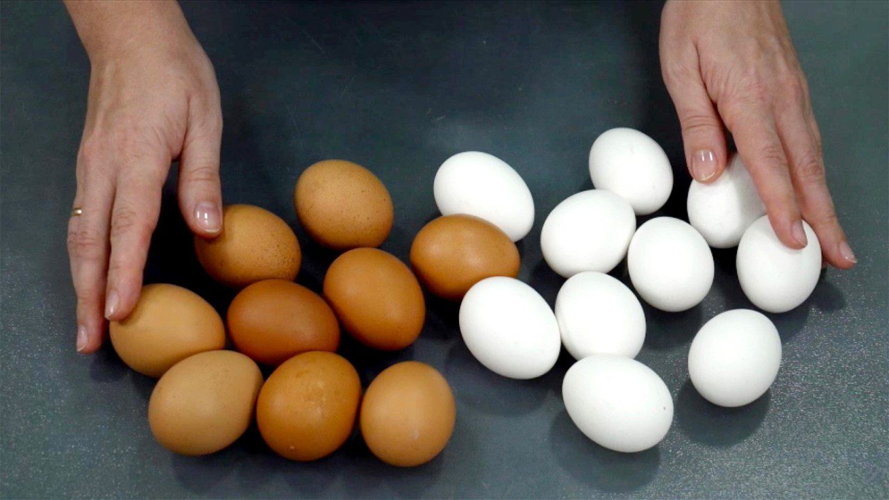 Кухарі розповіли, як без смаження і варіння приготувати яйця, щоб вийшло смачно