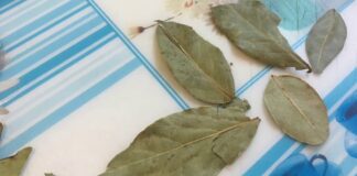 Експерти розповіли, навіщо підпалювати лавровий лист вдома