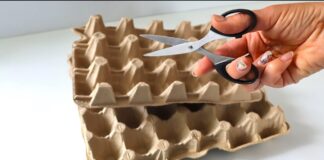 Досвідчені господині розповіли, чому ніколи не треба викидати яєчні лотки