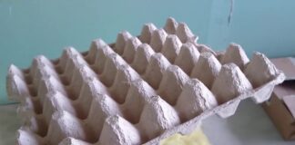 Експерти розповіли, як з користю використовувати лотки з-під яєць