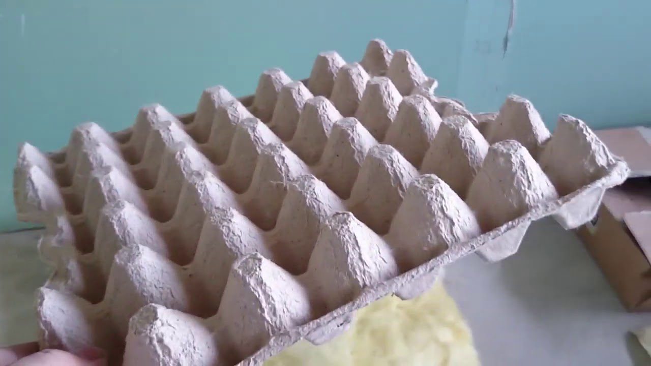 Експерти розповіли, як з користю використовувати лотки з-під яєць