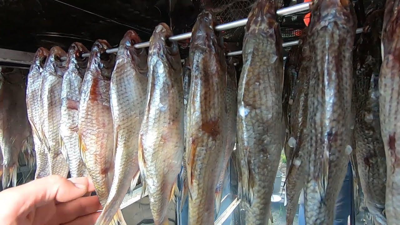 Рибалки розповіли, як насправді правильно сушити рибу в домашніх умовах