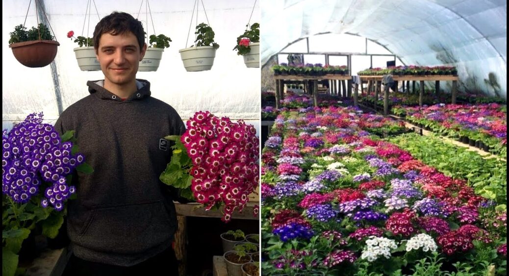 Втомилась від петуній – висадила цю 1 квітку: цвіте до морозів, а я про неї забуваю – доглядати не треба 