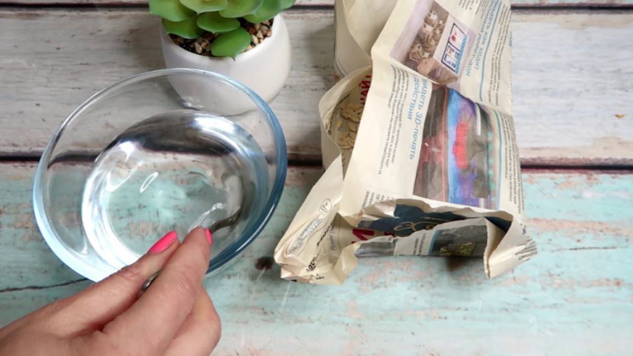 Садівники розповіли, як правильно перевірити схожість насіння перед посадкою