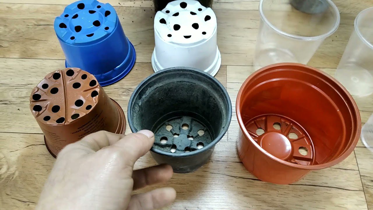 Садівники розповіли, як зробити дренажні отвори в стаканчиках для розсади