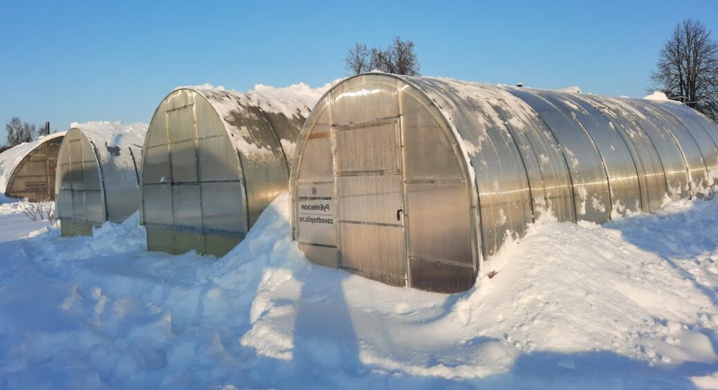 Кум-городник обігріває теплицю взимку без електрики та проводів – усередині тепло навіть при -40℃: чудо-трюк 
