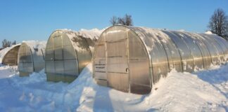 Садівники розповіли, як можна обігріти теплицю взимку без зайвих витрат