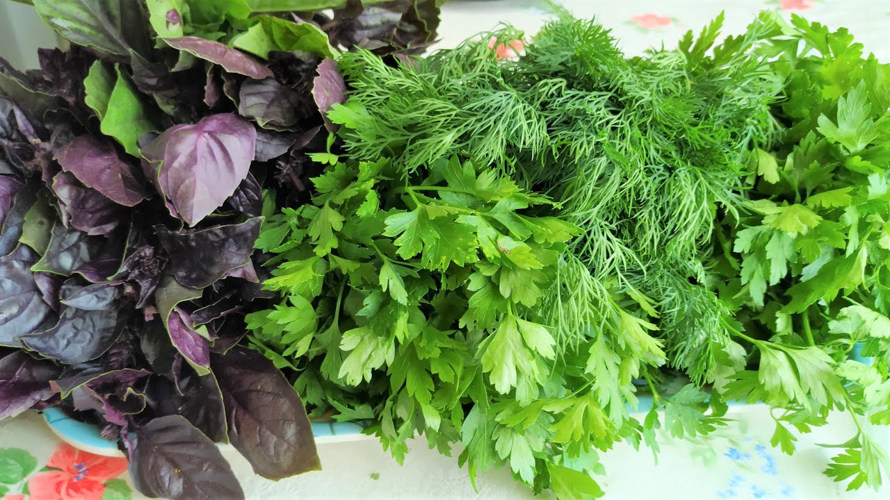 Кулінари розповіли, як правильно зберігати зелень для довшої свіжості