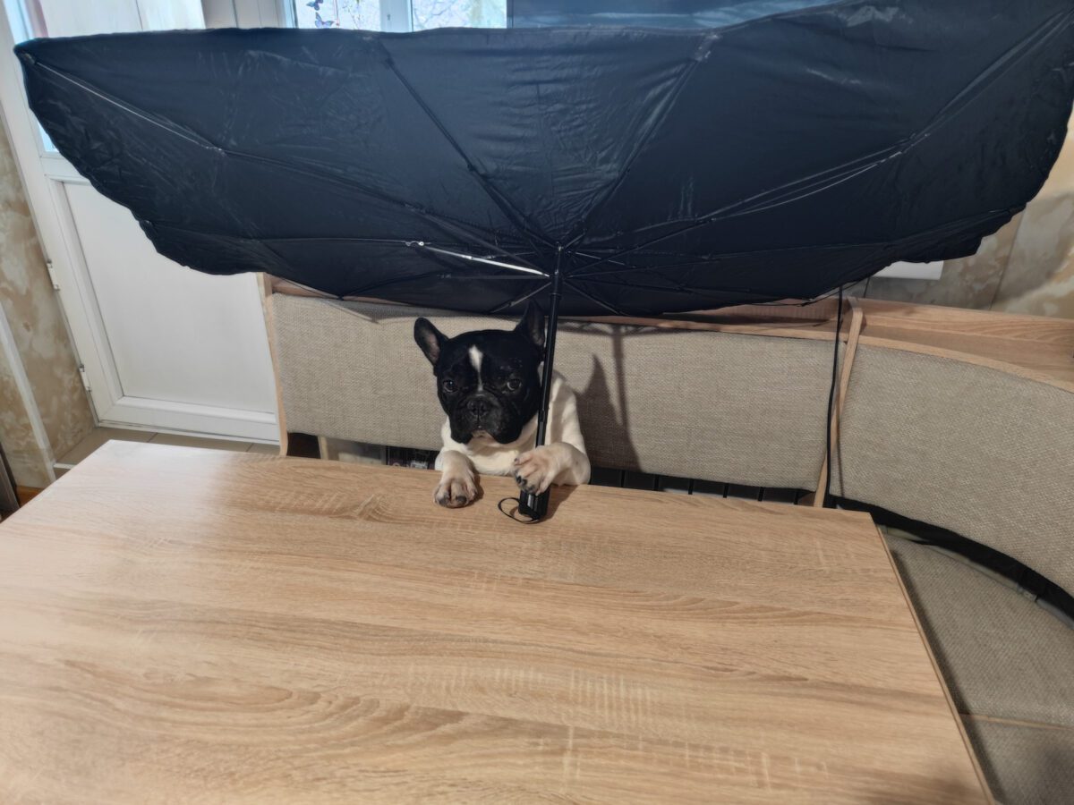 Експерти порадили спосіб використання зламаної парасолі в саду для спрощення свого життя