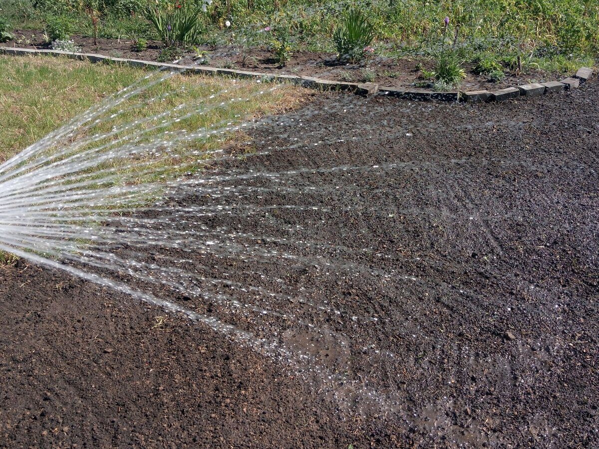 Експерти порадили, яке добриво найкраще використовувати городникам для врожайності