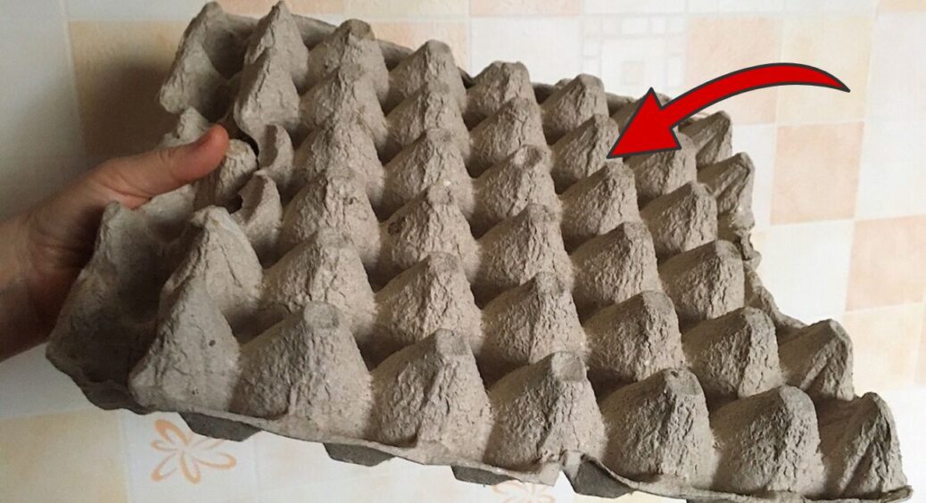 Яйця закінчились – лотки залишились: 3 способи використання, аби не засмічувати планету 