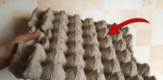 Господині поділилися цікавим використанням лотків від яєць