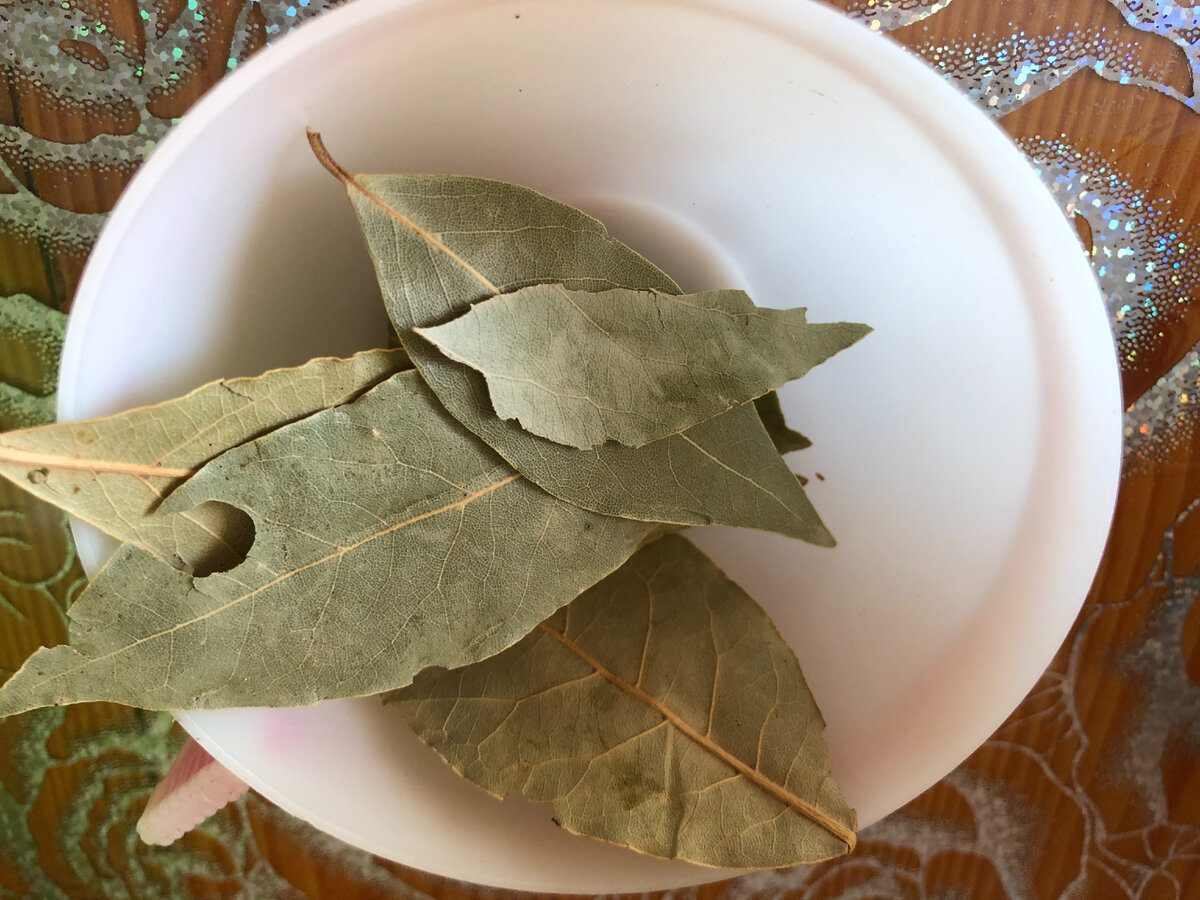 Експерти розповіли, як використовувати лаврове листя для залучення в життя щастя й достатку