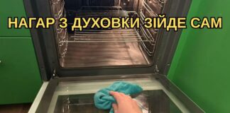 Як очистити духовку від жиру без хімії