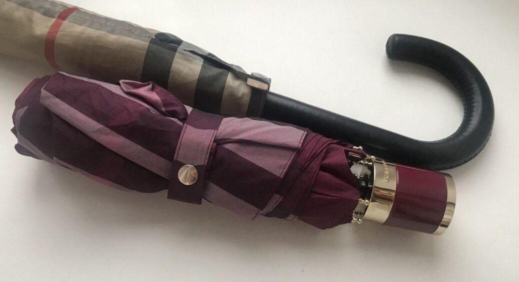 Парасоля зламалась, але я її не викинула: 1 цікавий спосіб, як використати “сміття” з користю в саду 